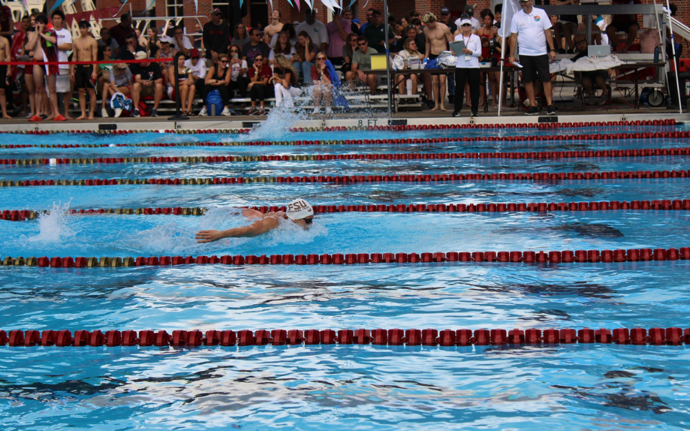 Support the FSU Swim Club 